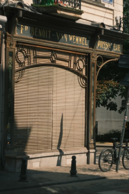 Photograph 25 by Frans Leys